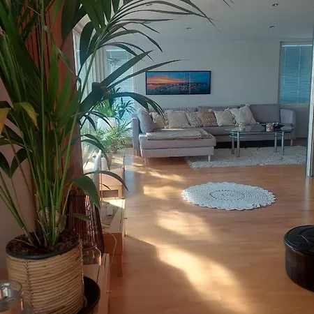 Saimaa Penthouse سافونلينّا
